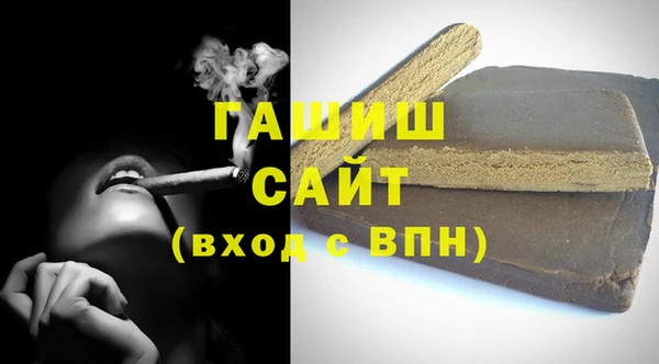 индика Новозыбков