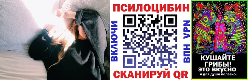 Псилоцибиновые грибы Psilocybine cubensis  Медынь 